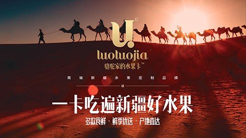 骆驼家礼品卡-一卡吃遍新疆好水果