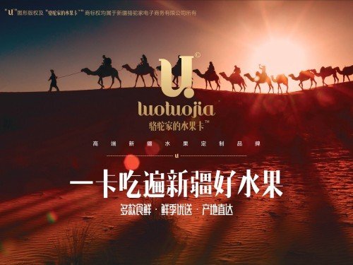 骆驼家新闻资讯-新疆水果定制品牌 ，骆驼家的水果卡，品味正宗的新疆水果